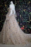 Champagne Tulle Long Prom Dress, Off the Shoulder Evening Dress with Stars HZ0429
