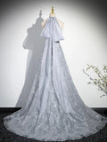 Elegant V-Neck Tulle Sequins Long Prom Dress, Gray A-Line Backless Party Dress HZ0429