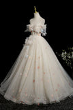 Champagne Tulle Beads Long Prom Dress, Beautiful A-Line Formal Party Dress HZ0429