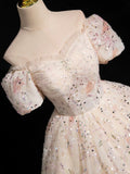 Champagne Tulle Sequins Long Prom Dress, Beautiful A-Line Evening Party Dress HZ0429