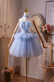 Blue Flower Fairy Beading Butterfly Prom Dresses, Cute A-Line Homecoming Dresses HZ0429